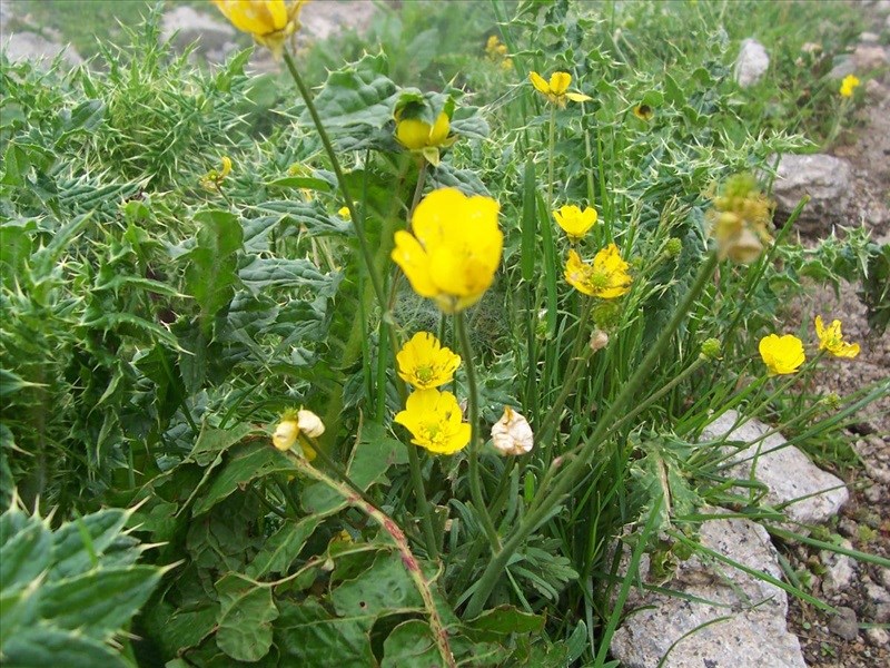 طبیعت قره داغ