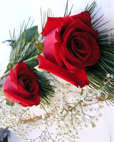 عرض تبریک حضور جناب آقای ابراهیم زارعی