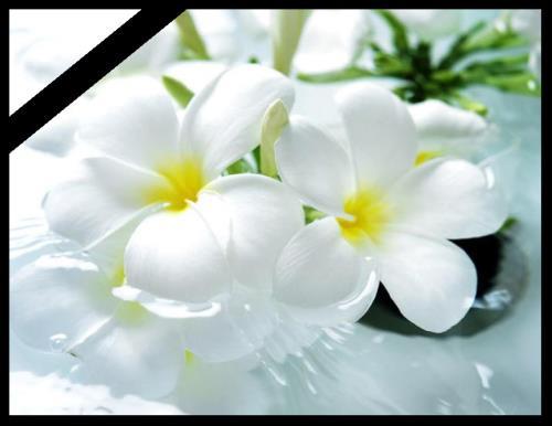 مراسم چهلم ابوي گرامي همكار عزيزمان جناب آقاي رشيد يزداني كارشناس محترم اعتباربخشي بيمارستانها